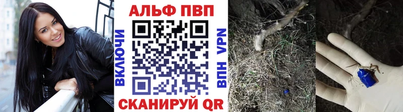 Альфа ПВП СК КРИС где найти Галич
