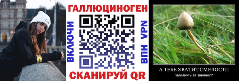 omg как зайти  Галич  Псилоцибиновые грибы Psilocybine cubensis 
